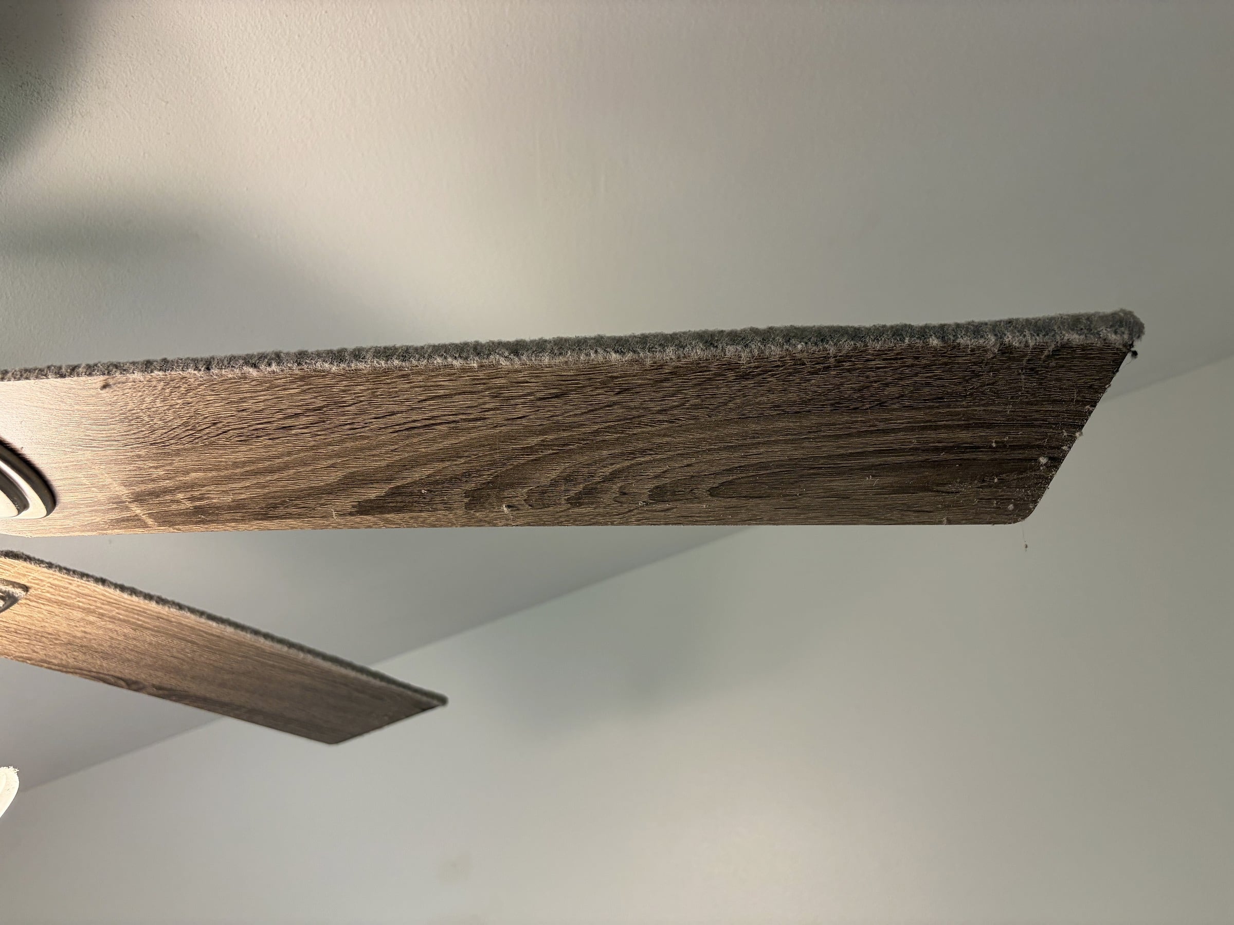 A ceiling fan blade with a thick layer of gray dust built up along its top edge